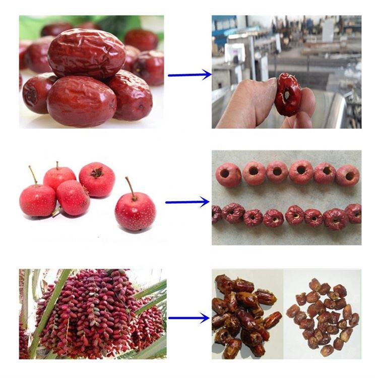Red Dates Seed Removing Machine