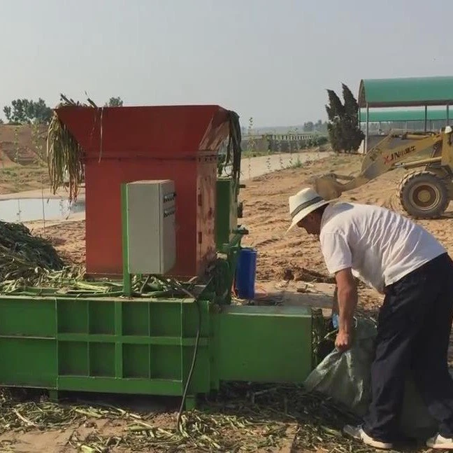hydraulic bagging machine (5)