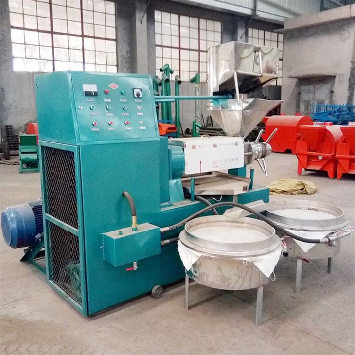 Sunflower Seeds Coconut Oil Press With Oil Filter